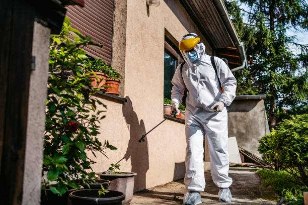 Trusted Macdonnell Heights, NY Pest Control Experts
