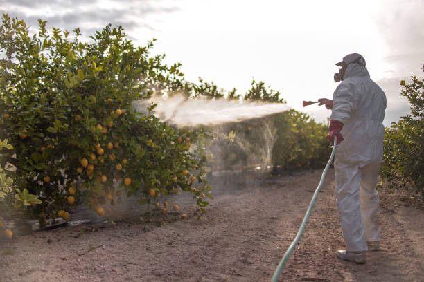 Best Cockroach Control Services  in Macdonnell Heights, NY