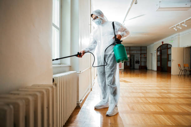 Professional Pest Control in Macdonnell Heights, NY