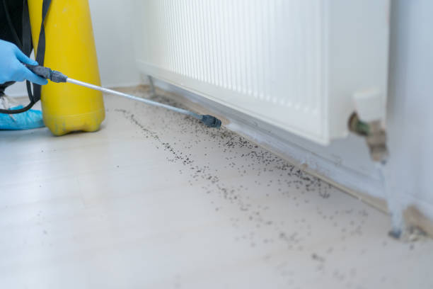 Best Cockroach Control Services  in Macdonnell Heights, NY